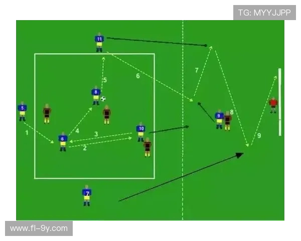 专业足球训练马甲提升球员表现与战术配合的关键装备解析